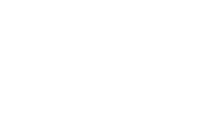 Volpe Coffee